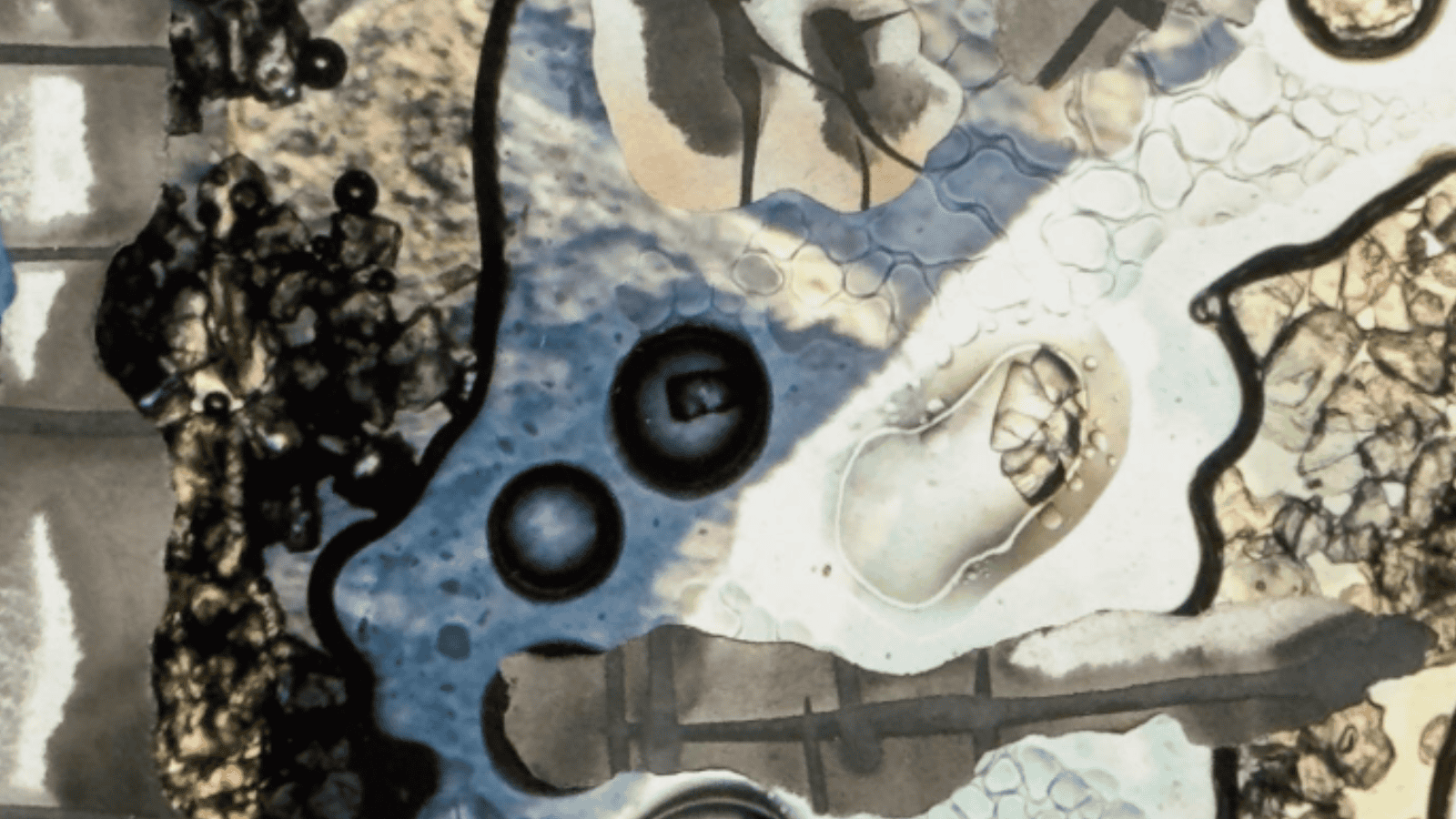 Giovedì 26 giugno gli spazi di NoGallery a Pontremoli ospiteranno l'inagurazione della mostra dell'artista Peer Veneman.